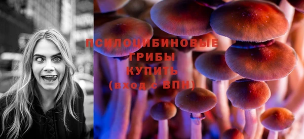 шишки Протвино