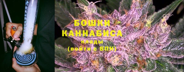 шишки Протвино