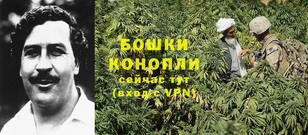 шишки Протвино