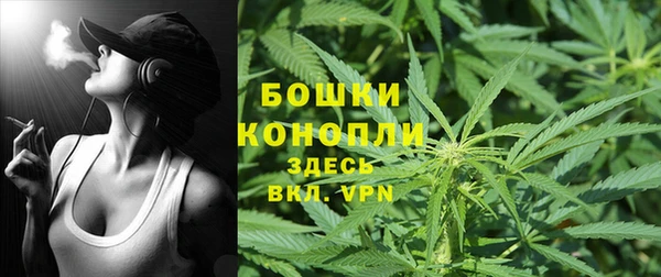 шишки Протвино
