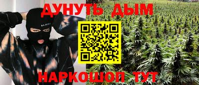 индика Будённовск