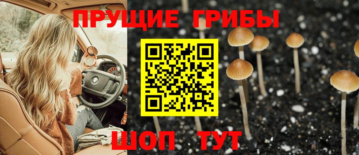 Галлюциногенные грибы MAGIC MUSHROOMS  Галлюциногенные грибы GOLDEN TEACHER  Тюмень 