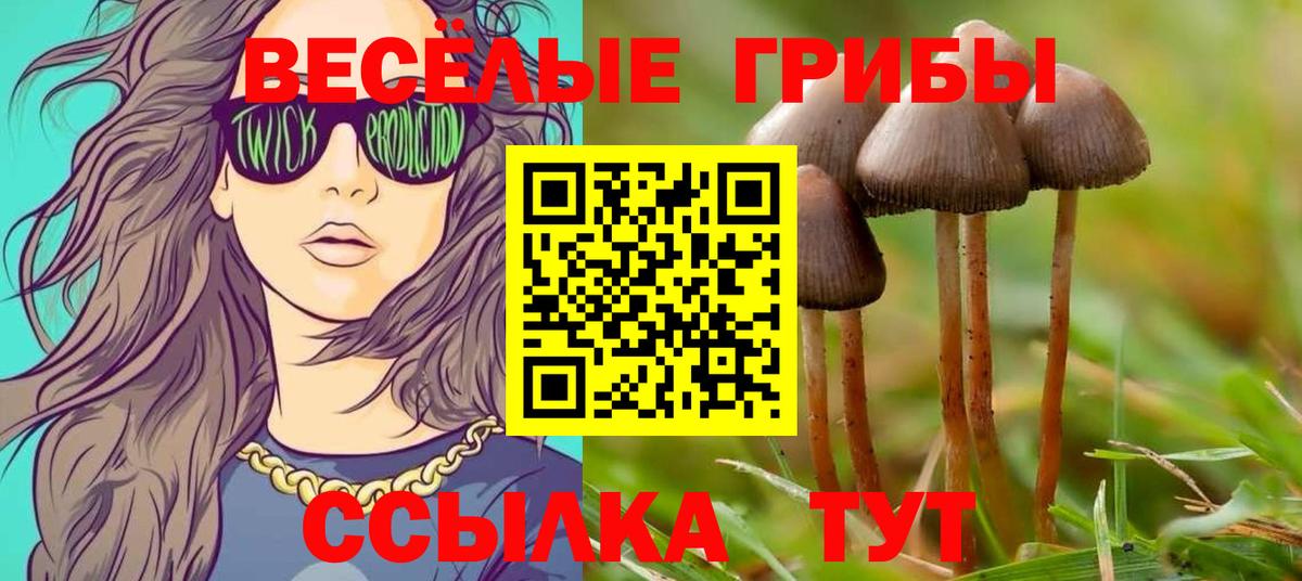 Тюмень  Псилоцибиновые грибы Psilocybe  Вход с VPN  Псилоцибиновые грибы Psilocybine cubensis 