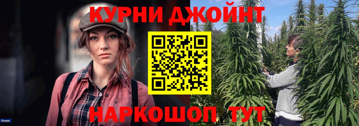 Бошки Шишки план Тюмень